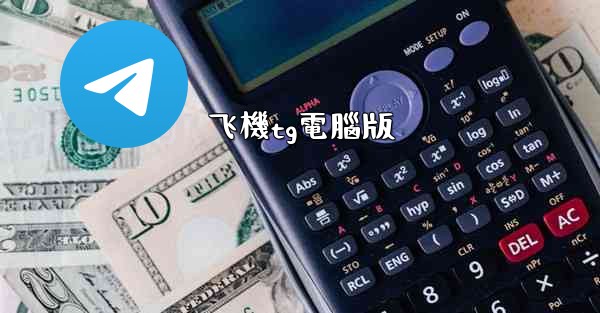 飞機tg電腦版