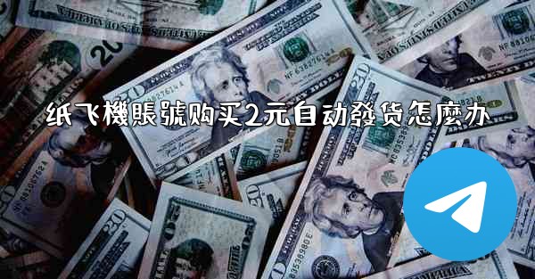 纸飞機賬號购买2元自动發货怎麼办