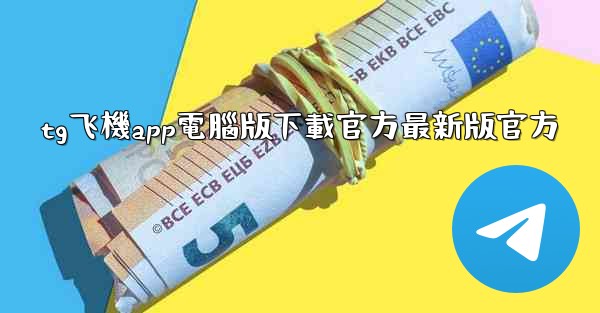 tg飞機app電腦版下載官方最新版官方