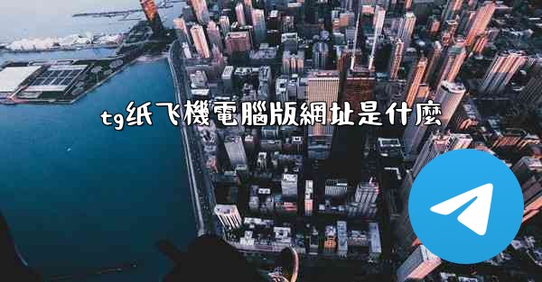 tg纸飞機電腦版網址是什麼