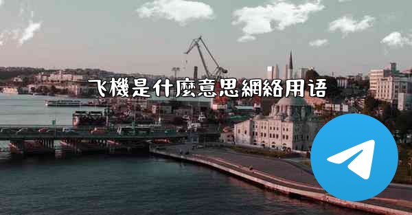 飞機是什麼意思網絡用语
