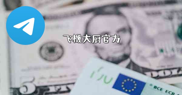 飞機大厨官方