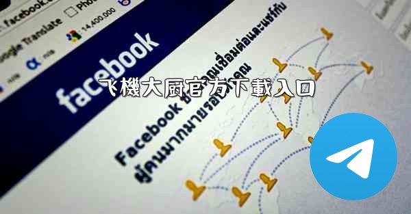 飞機大厨官方下載入口