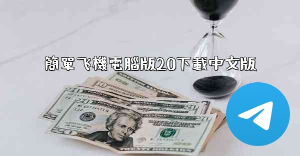 簡單飞機電腦版20下載中文版