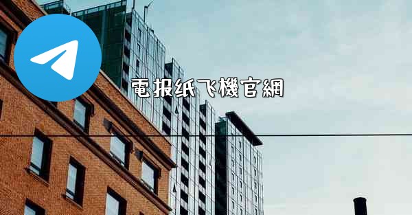 電报纸飞機官網