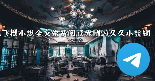 纸飞機小說全文免费阅读无刪減久久小說網