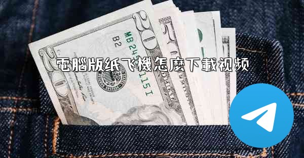 電腦版纸飞機怎麼下載视频