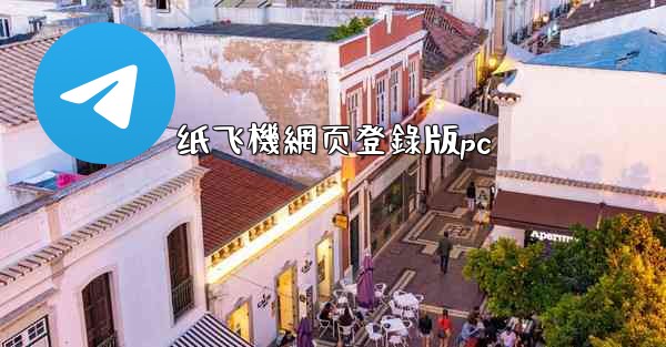 纸飞機網页登錄版pc