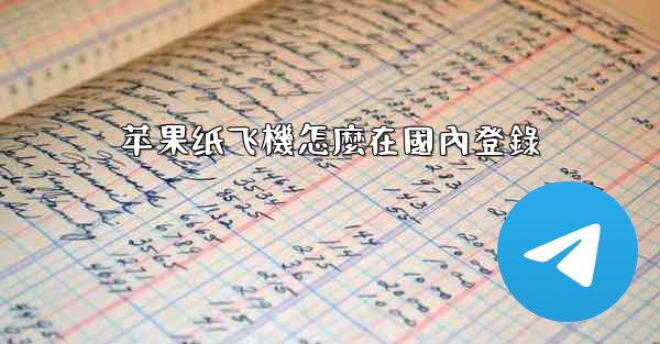 苹果纸飞機怎麼在國內登錄