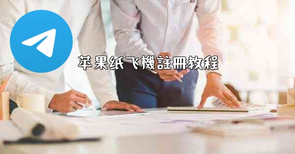 苹果纸飞機註冊教程