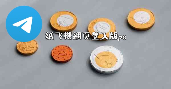 纸飞機網页登入版pc