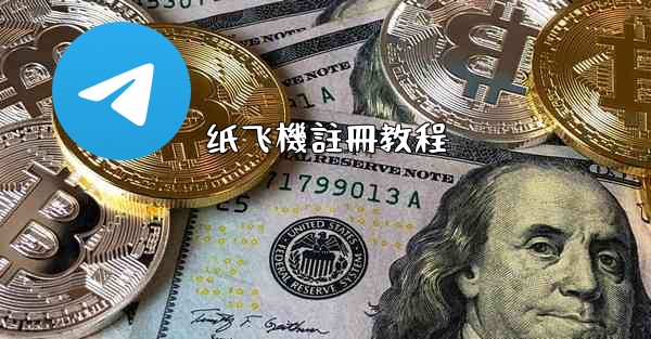 纸飞機註冊教程