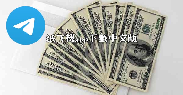 纸飞機app下載中文版