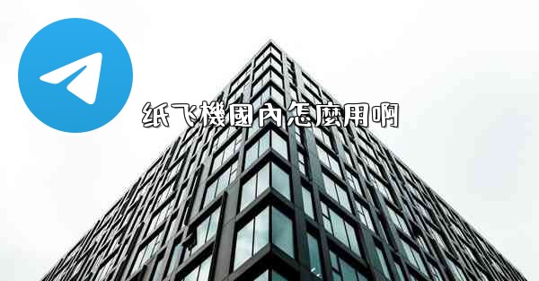 纸飞機國內怎麼用啊