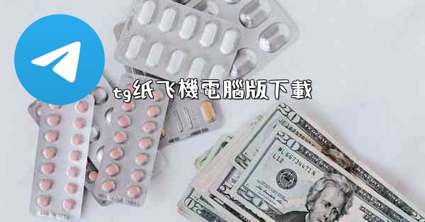 tg纸飞機電腦版下載