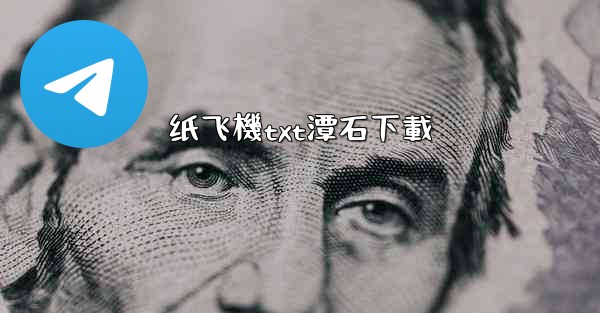 纸飞機txt潭石下載