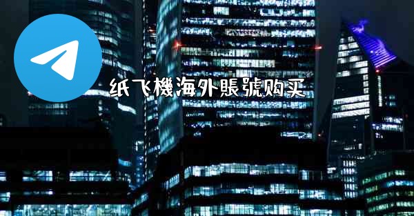 纸飞機海外賬號购买