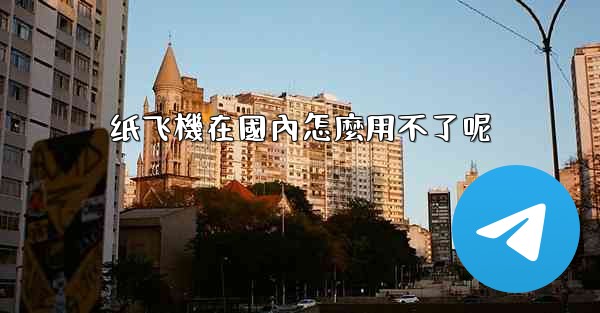 纸飞機在國內怎麼用不了呢