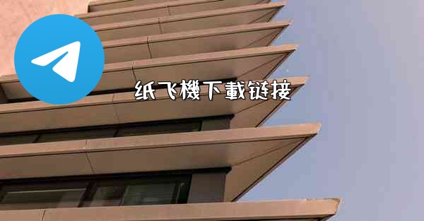 纸飞機下載链接