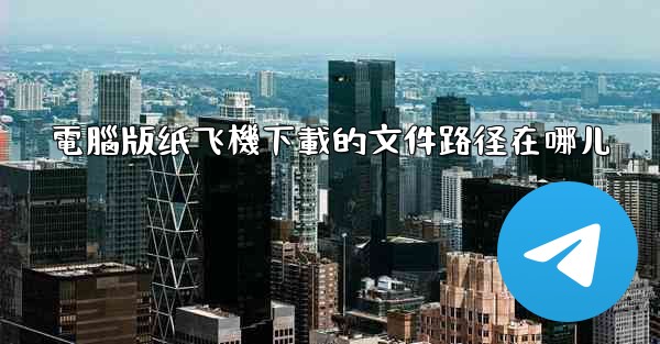 電腦版纸飞機下載的文件路径在哪儿