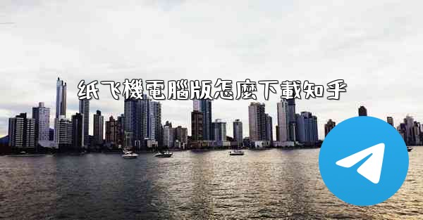 纸飞機電腦版怎麼下載知乎