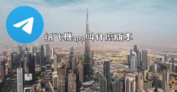 纸飞機app叫什麼版本