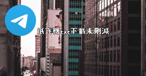 纸飞機txt下載未刪減