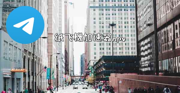 纸飞機加速器npv