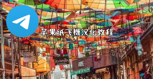 苹果纸飞機汉化教程