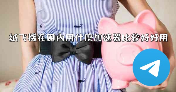 纸飞機在國內用什麼加速器比较好好用