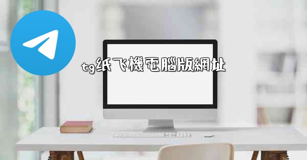 tg纸飞機電腦版網址