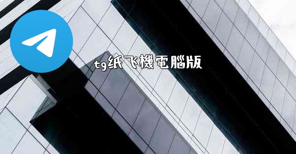 tg纸飞機電腦版