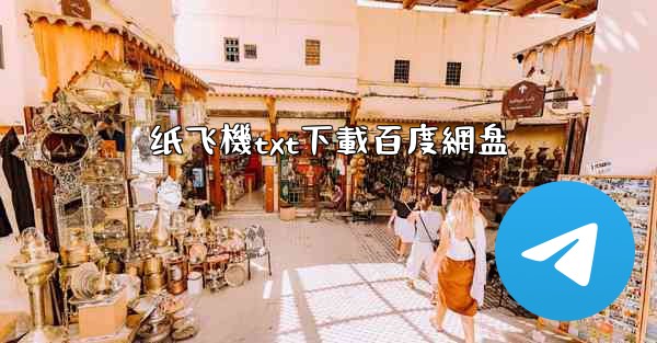 纸飞機txt下載百度網盘