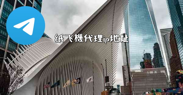 纸飞機代理ip地址