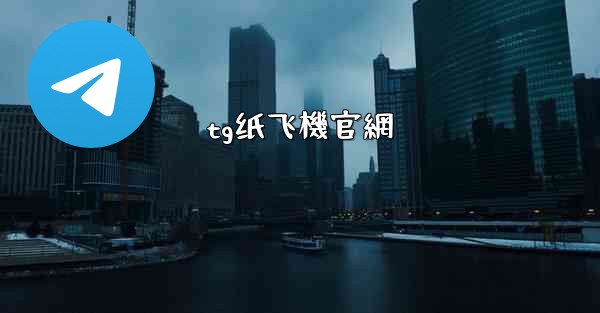 tg纸飞機官網