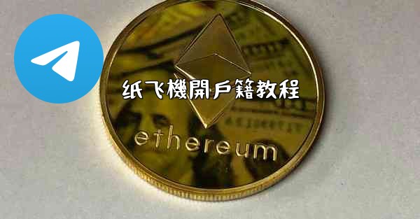 纸飞機開戶籍教程