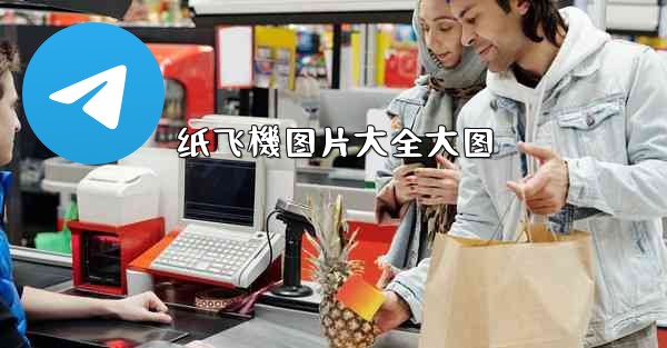 纸飞機图片大全大图