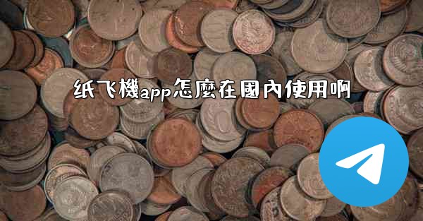 纸飞機app怎麼在國內使用啊