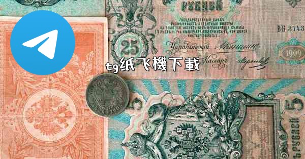 tg纸飞機下載
